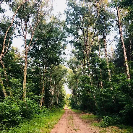 White House - Silesian Loft * Dąbrowa Górnicza