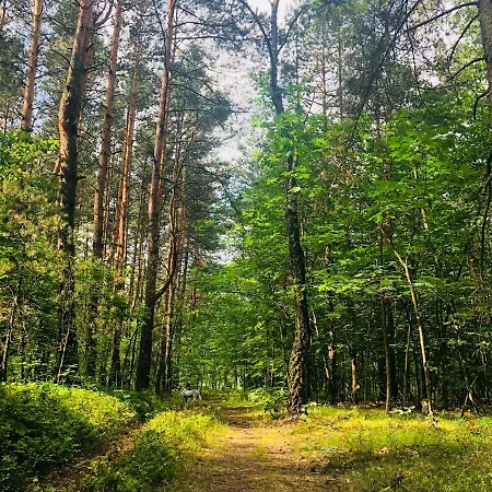 White House - Silesian Loft Appartamento Dąbrowa Górnicza