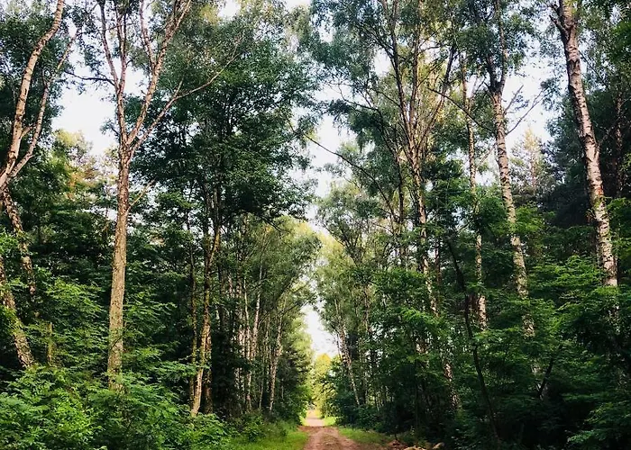 White House - Silesian Loft * Dąbrowa Górnicza