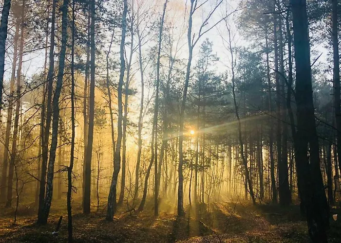 White House - Silesian Loft * Dąbrowa Górnicza