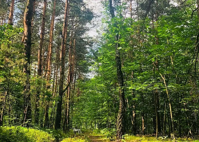 White House - Silesian Loft Appartamento Dąbrowa Górnicza